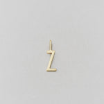 Zlatý přívěsek Písmeno A-Z - 10 mm DESIGN LETTERS - Lavly