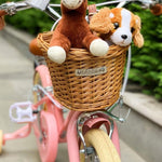 Kolo BOBBIN Gingersnap 12" Pink | Stylové doplňky pro děti a ženy | Lavly.cz