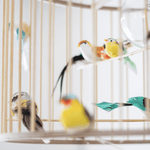 Lustr LAKALUK Birdcage přírodní střední | Stylové doplňky pro děti a ženy | Lavly.cz