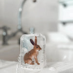 Mýdlo s hračkou uvnitř LUDI SOAP Zajíček | Lavly.cz