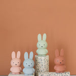 Pokladnička MIFFY "M" Silver Blue | Stylové doplňky pro děti a ženy | Lavly.cz