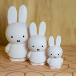 Pokladnička MIFFY "M" Silver Blue | Stylové doplňky pro děti a ženy | Lavly.cz